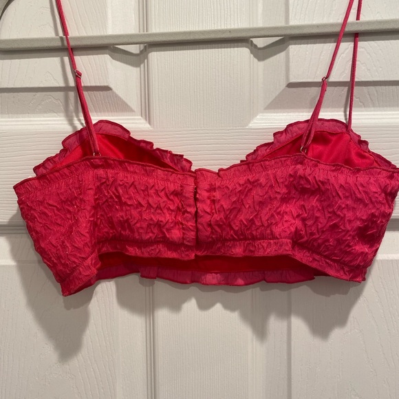 Pink Zara Corset Top - Picture 3 of 3